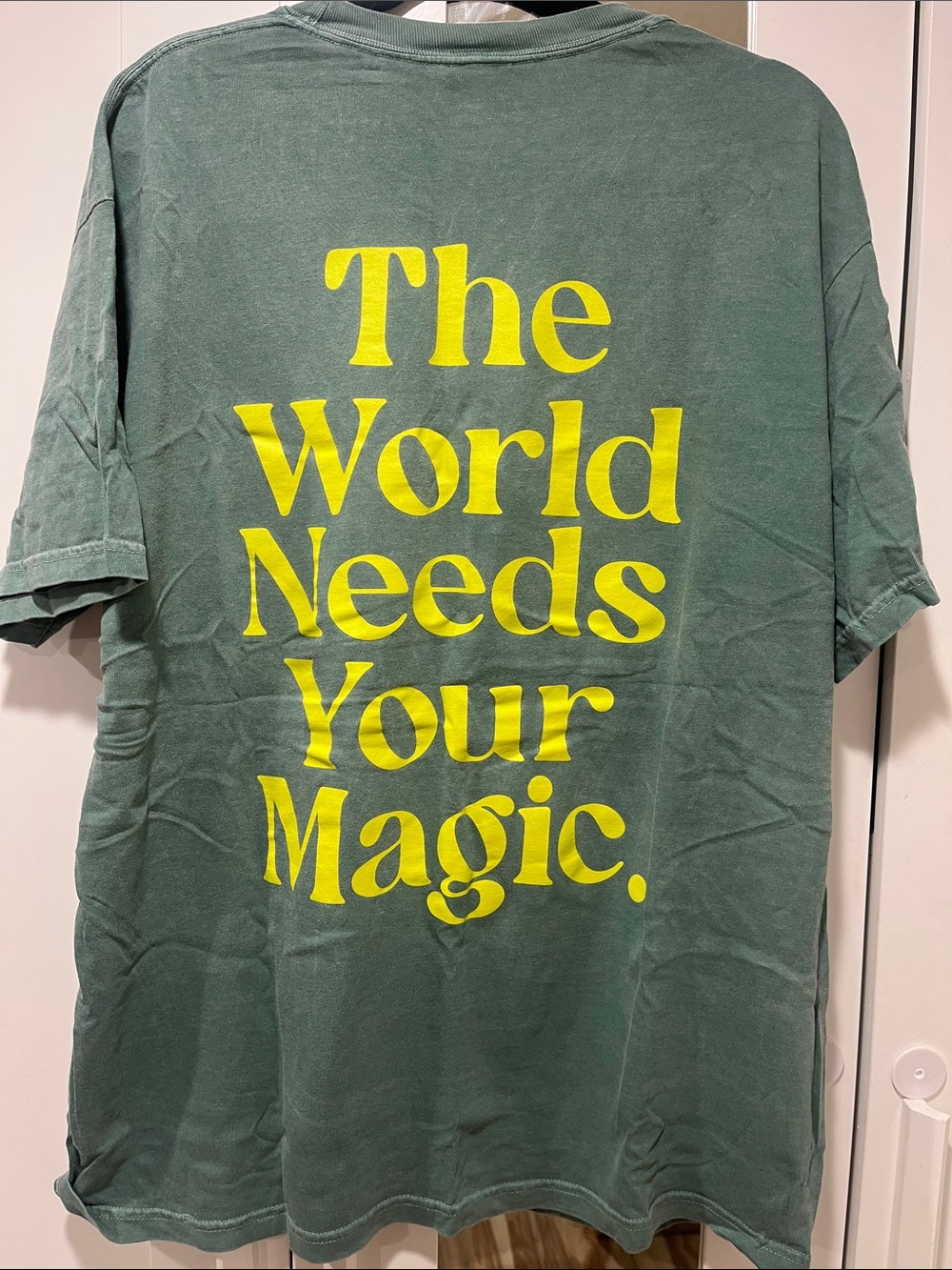 Dressed in Lala The World Needs Your Magic Oversized Tee in Sage + Neon - Picture 3 of 4